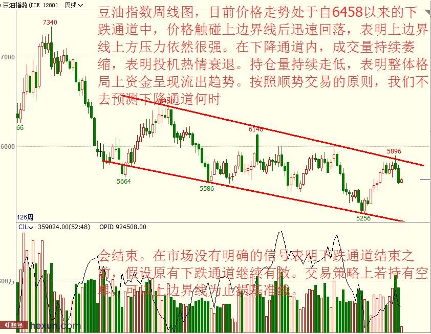 ���ţͯ��3��19�ղ��̲���